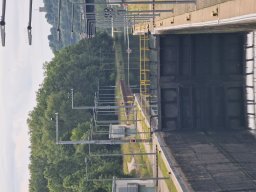 Mainschwimmen Juni 2026